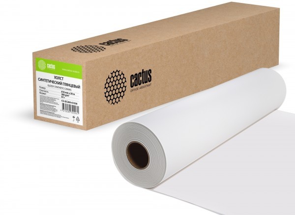  Cactus CS-GC260-61030 24