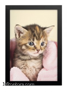   FOTOFRAME 10x15 Durable,4885-01