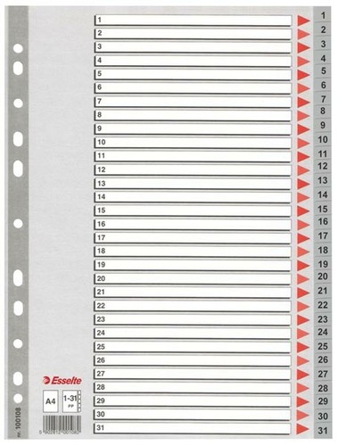    31  Esselte 100108
