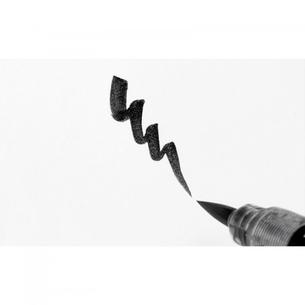  Brush Pen c    Pentel XFP6L