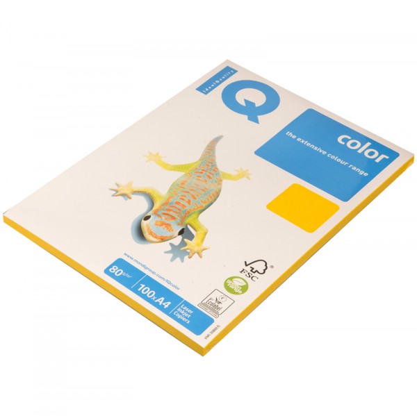   Color intensive - 4 80 100 SY40 Mondi